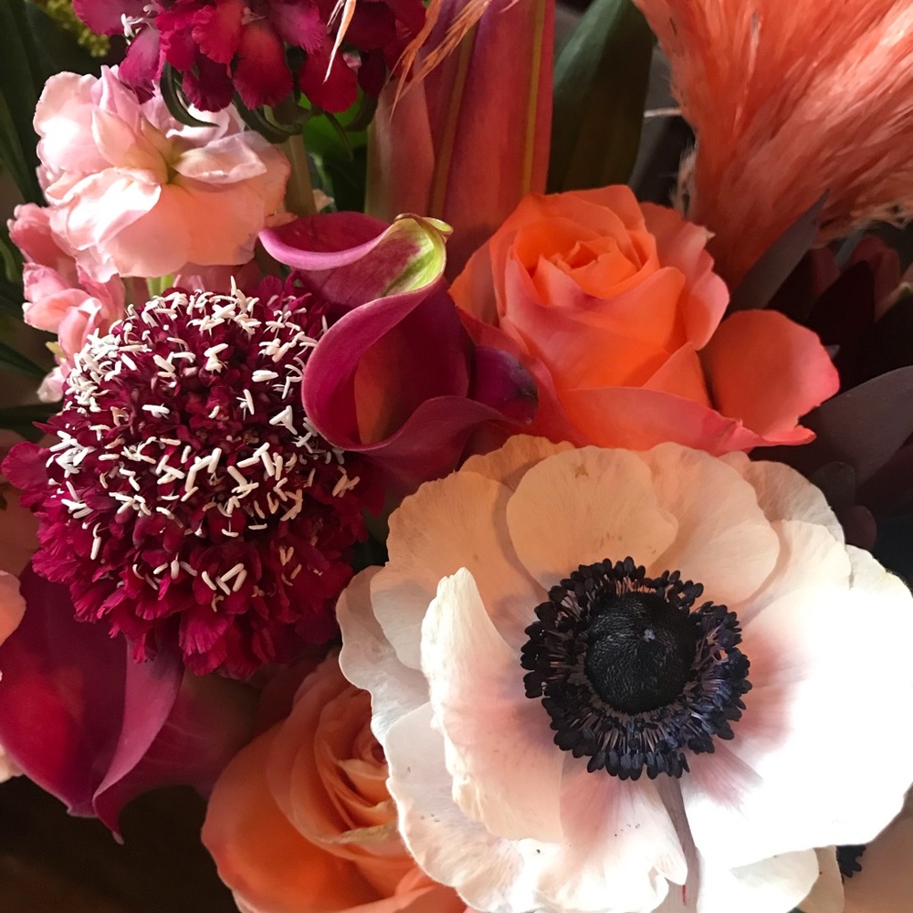 Meet your Posher, Audra